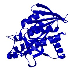 Image of CATH 4wko