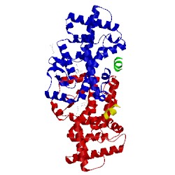 Image of CATH 4wlb