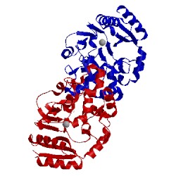 Image of CATH 4wlm