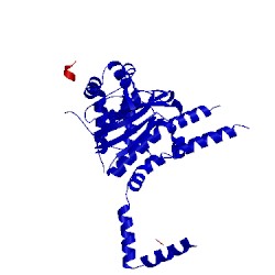 Image of CATH 4wlp