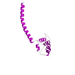 Image of CATH 4wlpB