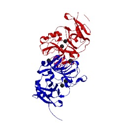 Image of CATH 4wmy