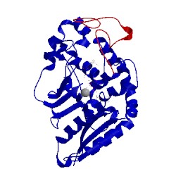 Image of CATH 4wnh