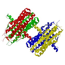 Image of CATH 4wnl