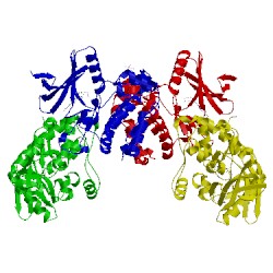 Image of CATH 4wnp