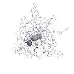 Image of CATH 4wo2
