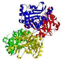 Image of CATH 4wop