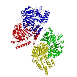 Image of CATH 4wp0