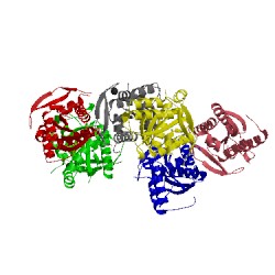 Image of CATH 4wp3