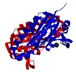 Image of CATH 4wp9