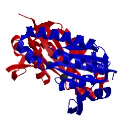 Image of CATH 4wpa