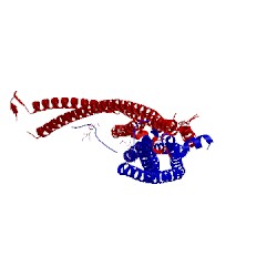 Image of CATH 4wpc