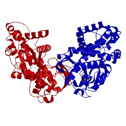 Image of CATH 4wpd