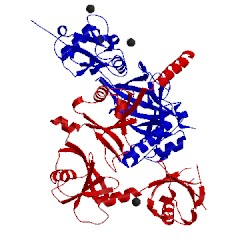 Image of CATH 4wph