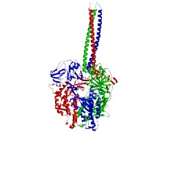 Image of CATH 4wsg