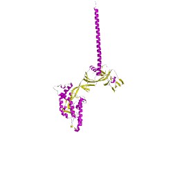 Image of CATH 4wsgB