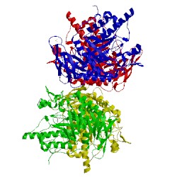 Image of CATH 4wsk