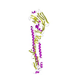 Image of CATH 4wsrB