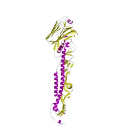 Image of CATH 4wsrF
