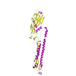 Image of CATH 4wssC