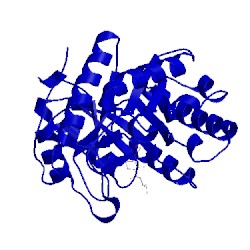 Image of CATH 4wts