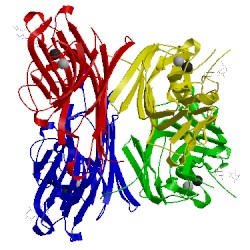 Image of CATH 4wv8