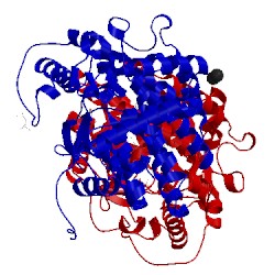 Image of CATH 4wva