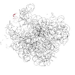 Image of CATH 4wwt