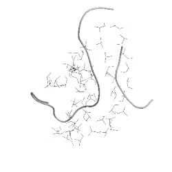 Image of CATH 4wwtA01