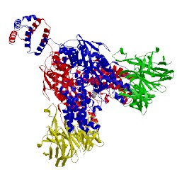 Image of CATH 4wwx