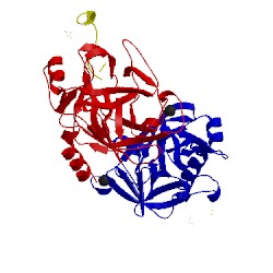 Image of CATH 4wxv