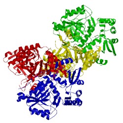 Image of CATH 4wya