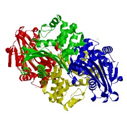Image of CATH 4wz5