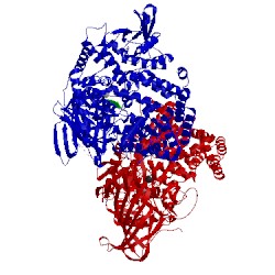 Image of CATH 4wz9