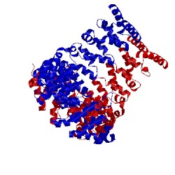 Image of CATH 4wzr