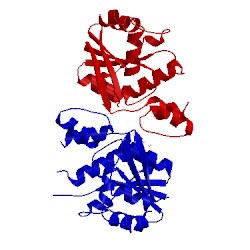 Image of CATH 4x0e