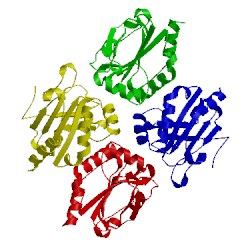 Image of CATH 4x0x
