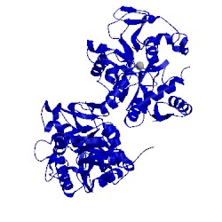 Image of CATH 4x1b