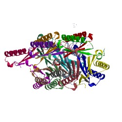 Image of CATH 4x1c