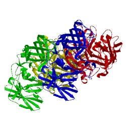 Image of CATH 4x1w
