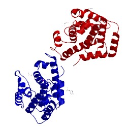 Image of CATH 4x2c