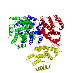 Image of CATH 4x2e