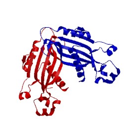 Image of CATH 4x2m