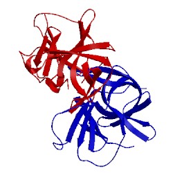 Image of CATH 4x2w