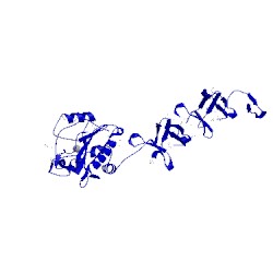 Image of CATH 4x36