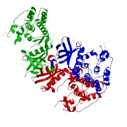 Image of CATH 4x3f