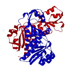 Image of CATH 4x3m