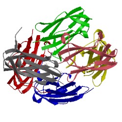 Image of CATH 4x42