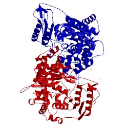 Image of CATH 4x46