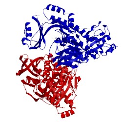 Image of CATH 4x4j